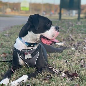 Meet your Posher, Mitchell